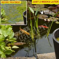 Bio Pond Clear ULTRA Treatment Kit for Small ponds (12, 500L)