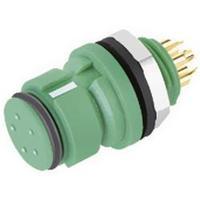 Binder 99 9216 070 05