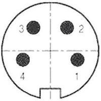 Binder 99-2009-02-04 Miniature R...