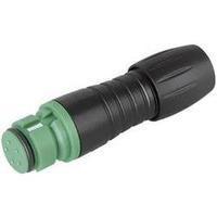 Binder 99 9206 070 03