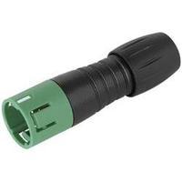 Binder 99 9209 070 04