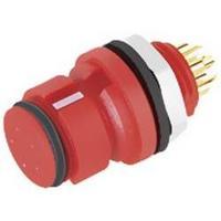 Binder 99 9212 050 04