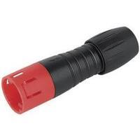 Binder 99 9209 050 04