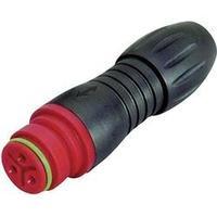 Binder 99-9114-50-05 Series 720 Miniature Circular Connector