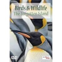 birds and wildlife the forgotten island dvd