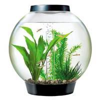 BiOrb 30 Black Aquarium