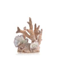 biorb samuel baker ornament medium coral