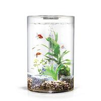 biUbe Pure Aquarium with Intelligent LED Light