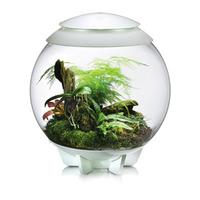 BiOrb Air Terrarium White