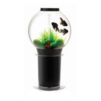 biOrb 105 Black Aquarium & Stand