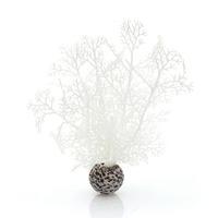 biOrb Small White Sea Fan