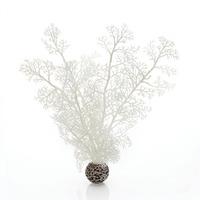 biOrb Medium White Sea Fan