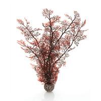 biOrb Medium Crimson Sea Fan