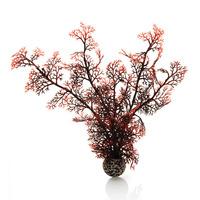 biOrb Large Crimson Sea Fan