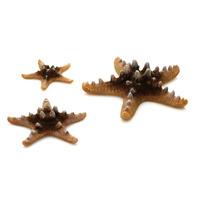 biOrb Natural Sea Stars