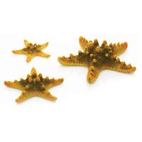 biOrb Yellow Sea Stars