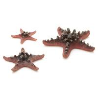 biOrb Pink Sea Stars