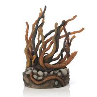 biorb samuel baker root sculpture