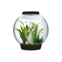 biorb 60 black aquarium with intelligent led light