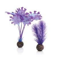 biOrb Purple Kelp Plants Small