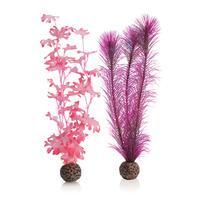 biOrb Pink Kelp Plants Medium