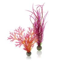 biOrb Easy Plants Red and Pink 2 Pack