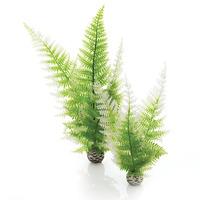 biOrb Easy Plants Winter Ferns 2 Pack