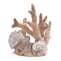 biOrb Samuel Baker Ornament Small Coral
