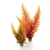 biorb easy plants autumn fern 2 pack