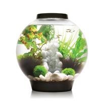 biOrb 30 Aquarium with LED Intelligent Light - Black