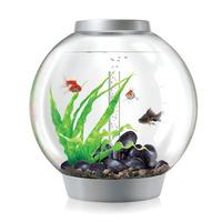 biOrb 30 Aquarium with LED Intelligent Light - Silver