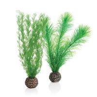 biOrb Green Feather Fern Plants - Small