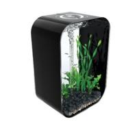 biOrb biOrb Life Portrait 60 Black