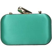 Bibi Lou 850a80 Clutch women\'s Pouch in green