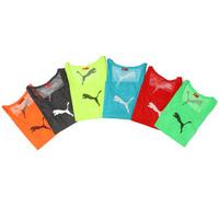 Big Cat Mesh Training Bibs