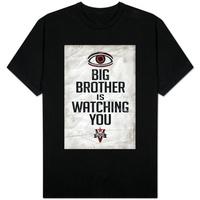 Big Brother is Watching You 1984 INGSOC