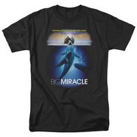 big miracle poster
