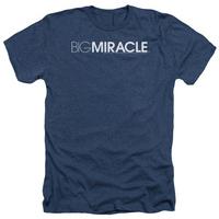 Big Miracle - Logo