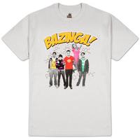 big bang theory bazinga group