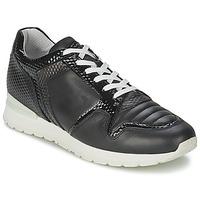 Bikkembergs KATE 420 women\'s Shoes (Trainers) in black