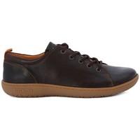 Birkenstock Islay D Brown women\'s Shoes (Trainers) in Brown
