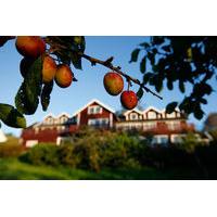 Bj&Atilde;&cedil;rnefjorden Gjestetun