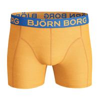 Björn Borg SEASONAL SOLIDS Cotton Stretch Shorts Orange