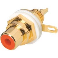 BKL 0101164-C Mounted Cinch socket, gold-plated White Electronic