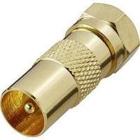 BKL F-STECKER AUF KOAX-STECKER GOLD