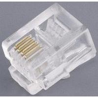 BKL Electronic 143045 Modular Plug 8P8C RJ45 Plug, straight Transparent