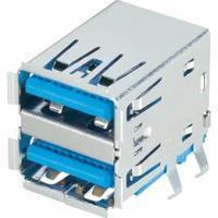 BKL Electronic 10120293 Socket, ...