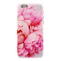 Blossomy Rose Design PC Hard Case for iPhone 7 7 Plus 6s 6 Plus