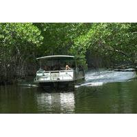 Black River Safari And Pelican Bar Tour from Montego Bay