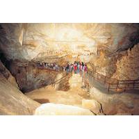 Blue Mountains and Jenolan Caves Motorcoach Day Tour